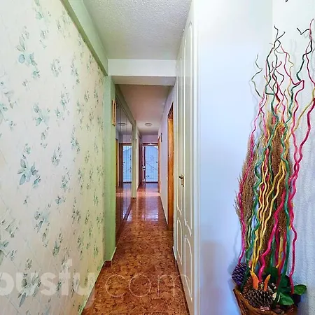 Stefy House Апартаменты Торевьиа
